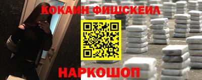 прущие крисы Камышлов