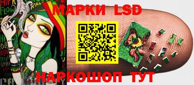 прущие крисы Камышлов
