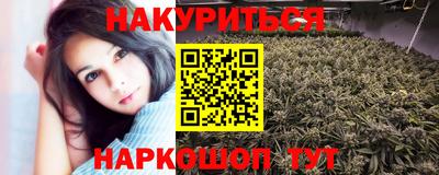 прущие крисы Камышлов