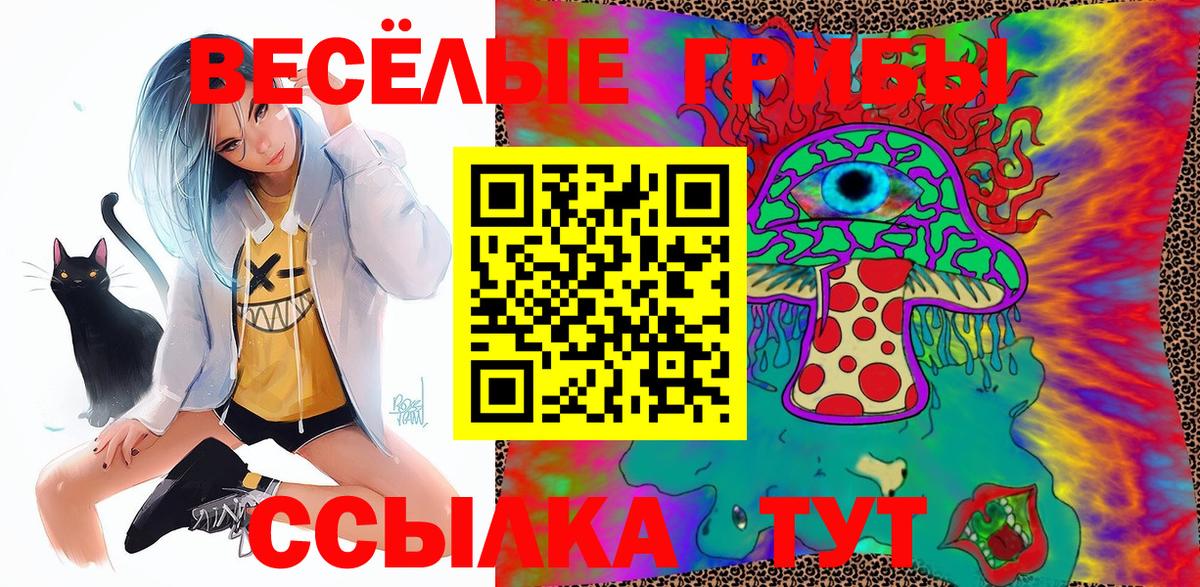 Псилоцибиновые грибы прущие грибы  Галлюциногенные грибы GOLDEN TEACHER  Лыткарино 